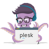 plesk panel